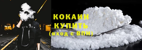 сатива Гусев