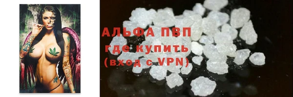сатива Гусев