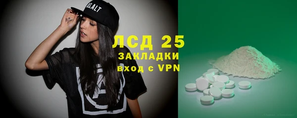 сатива Гусев