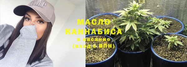 сатива Гусев