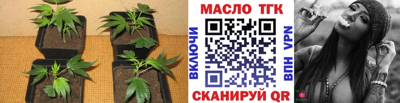 Купить где Щёкино ТГК гашишное масло