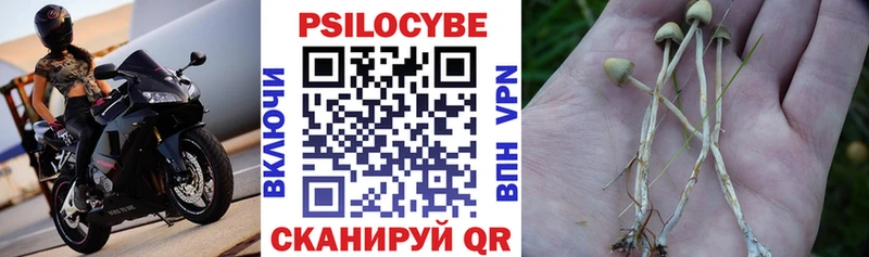 Галлюциногенные грибы Magic Shrooms  Купить  Щёкино 